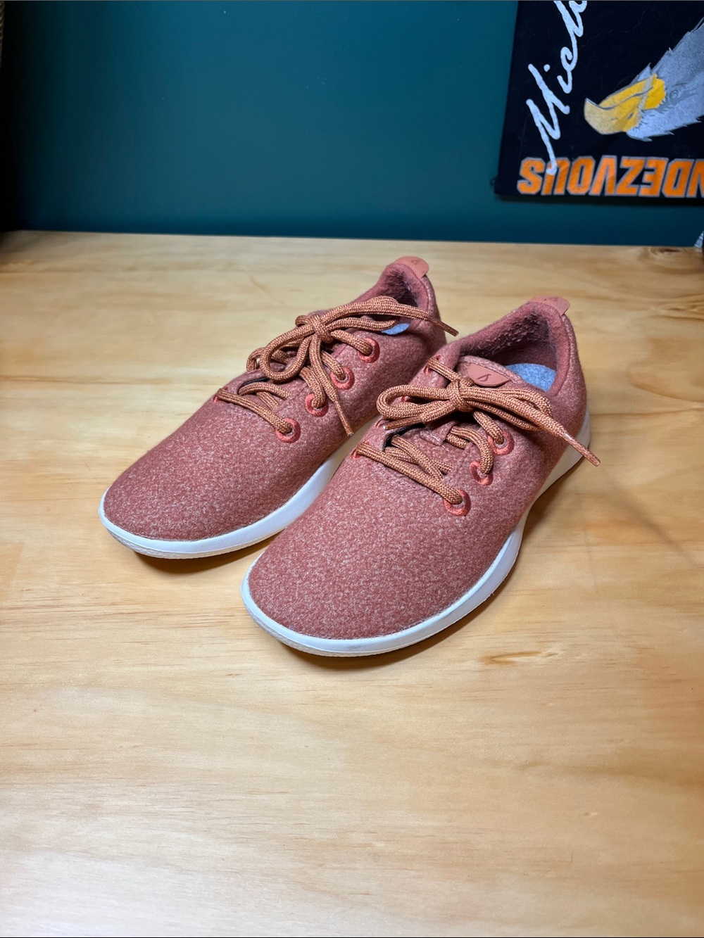 allbirds Women's Sneakers